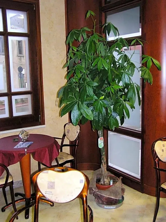 Hotel Mistral