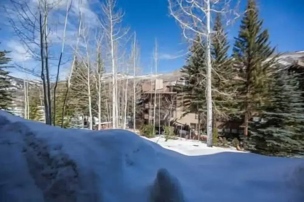 Northwoods Condo Private Ski-In Ski-Out Access to Vail Mountain by RedAwning