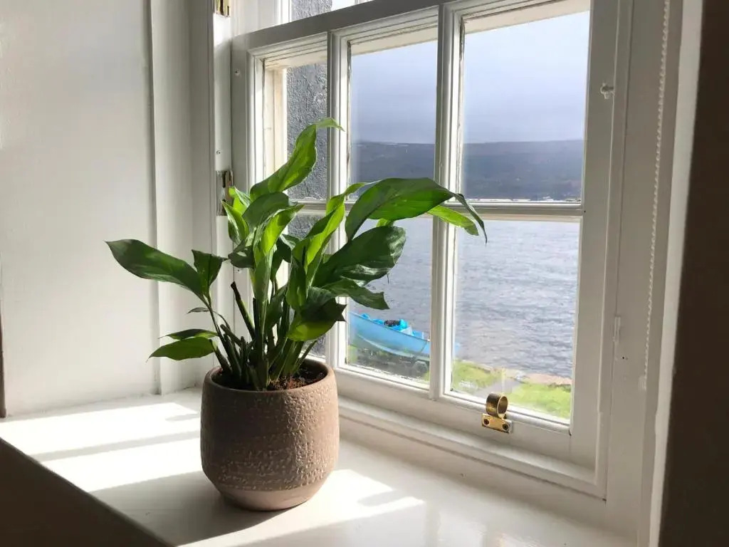 Fyne View Apartment