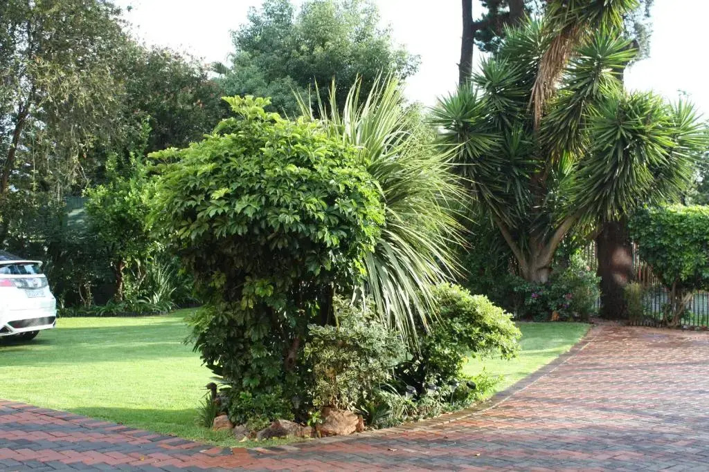 Villa Stella Guest House