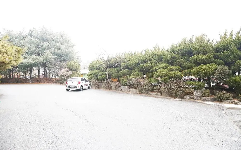 Cheonan Rosa