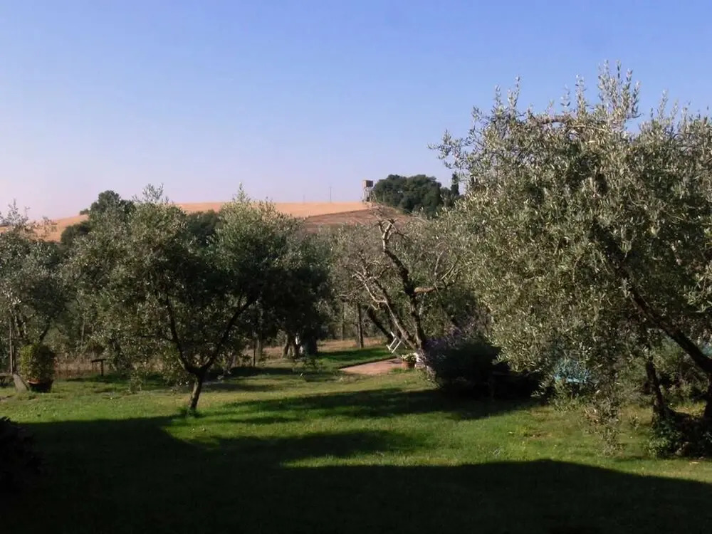 Apartment With one Bedroom in Cortona, With Pool Access, Enclosed Gard