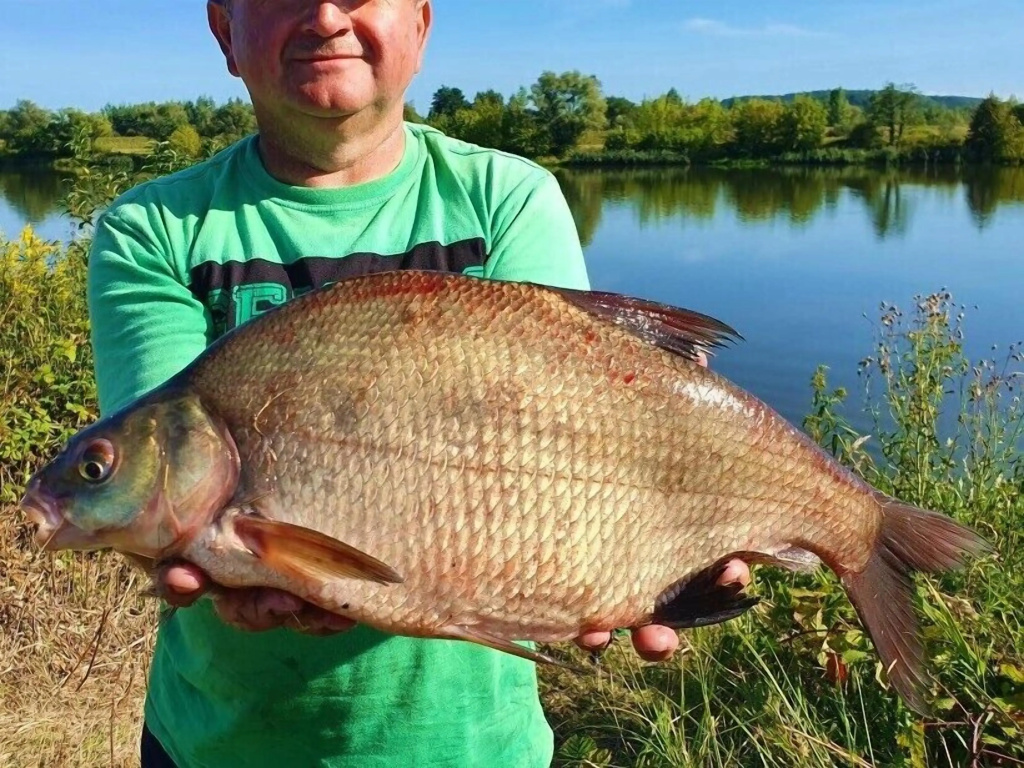 Pokoje w Starej Karczmie