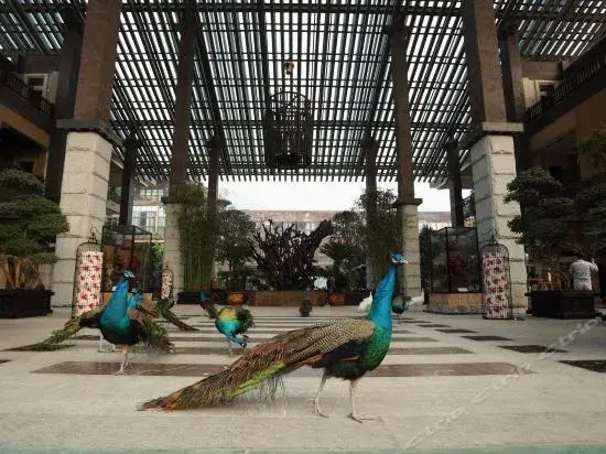 Tianci Huatang Forest Hot Spring Resort Hotel (Chongqing Lushan Branch)
