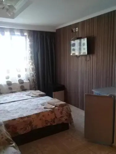 Guest House Argo