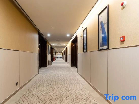 LUX CABINS Zunzhong Hote