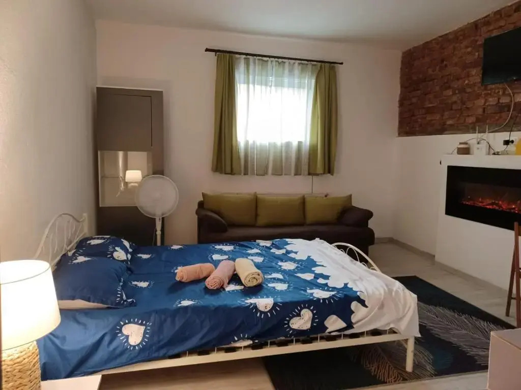 6 Ecaterina Varga st. Apartment