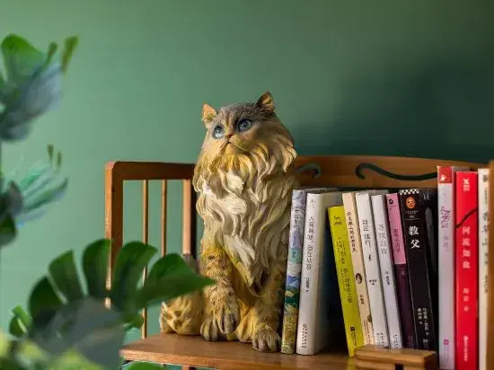 Shanghai Seven Cats Homestay