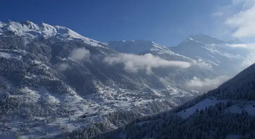 Chalet Monelier