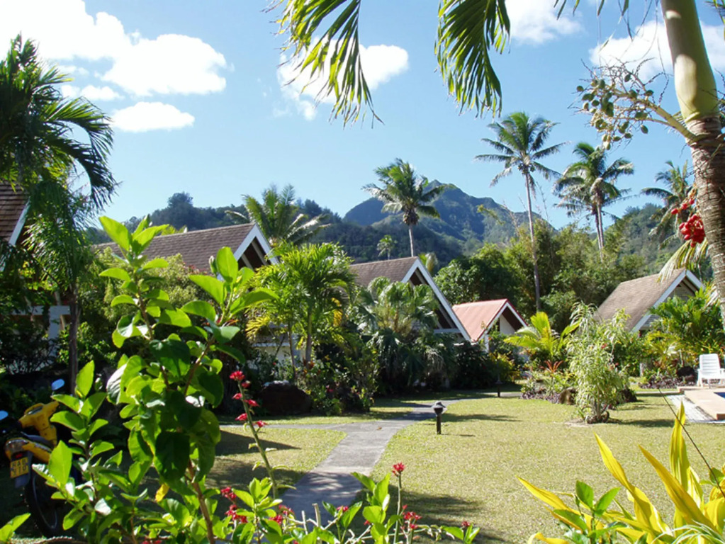Palm Grove