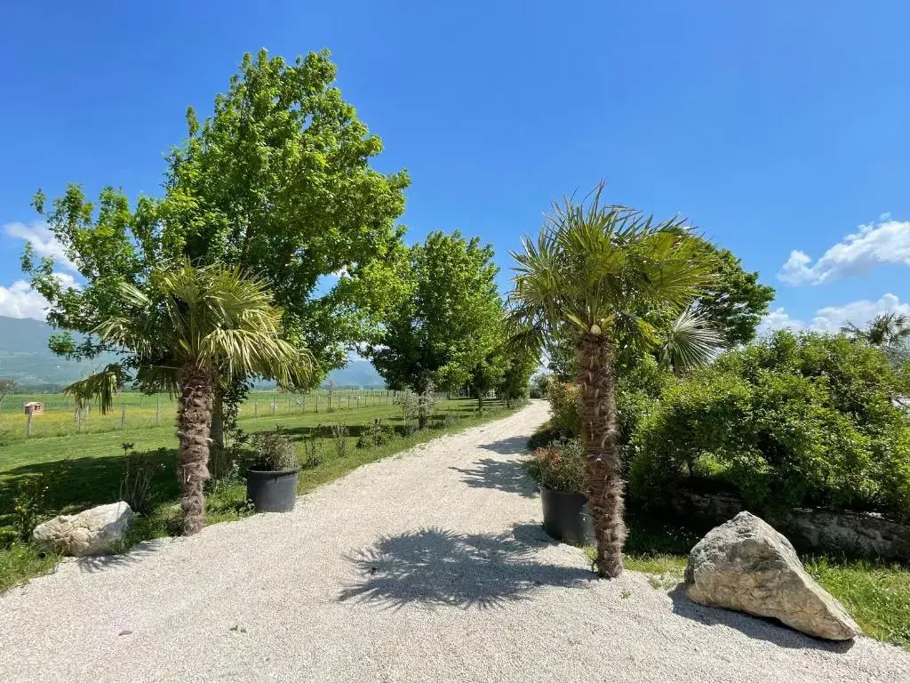 Agriturismo Il Pozzo