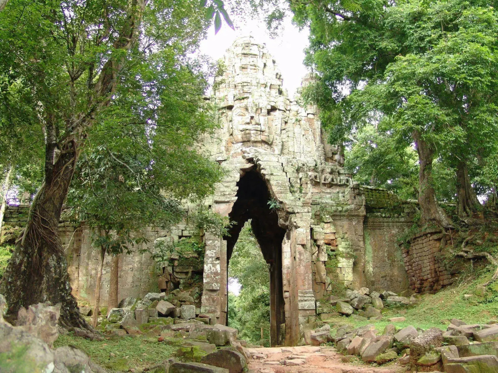 Tropical Breeze