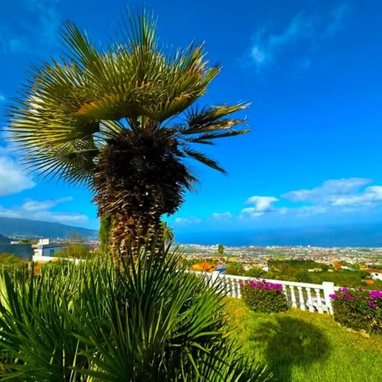 Villa in La Orotava 7 Bedrooms 1 bed 7 Baths