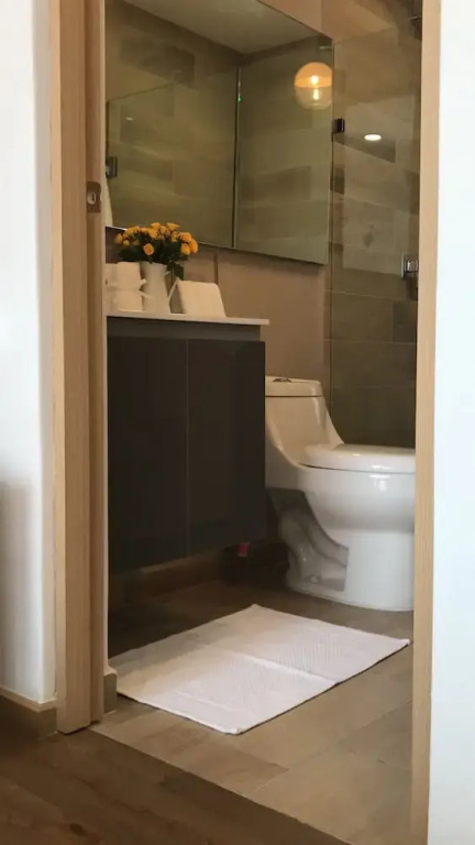 Amazing Apartment in Reforma