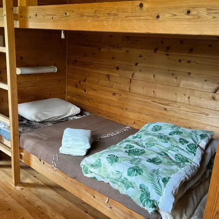 Eco Lodge Moss Tasha - Vacation STAY 39871v