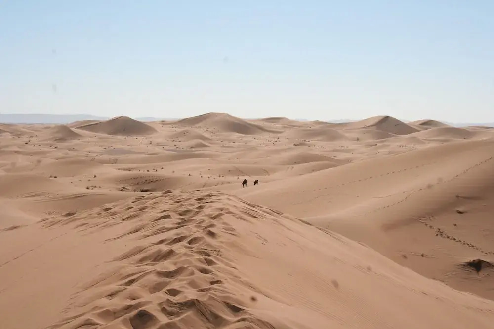 Zagora Desert Camp