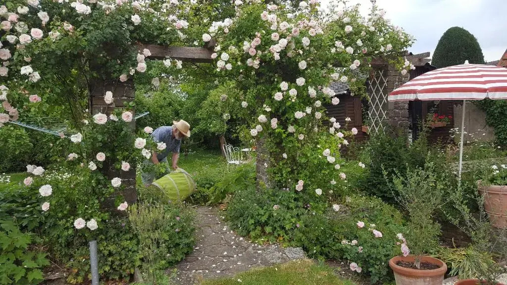 B&B Eenvoud in Overvloed