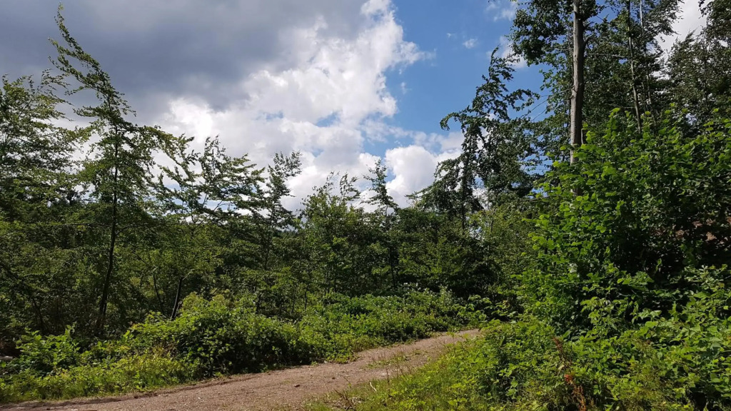 Schöner Weitblick