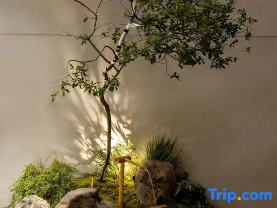 Xianju Moye · Courtyard Leisure Vacation Homestay