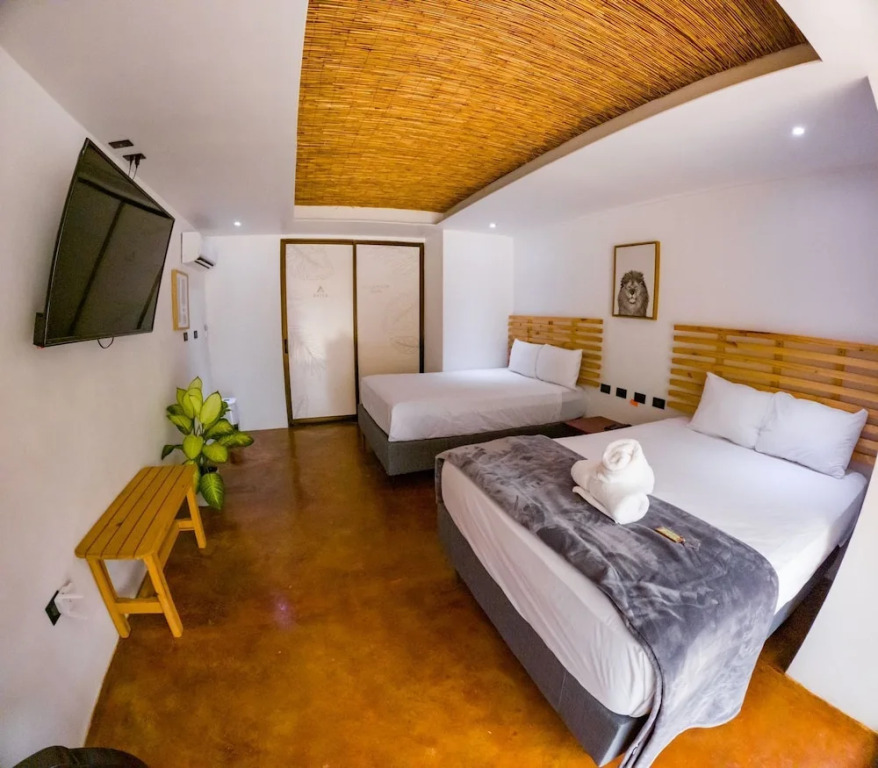 Ávita Lodge