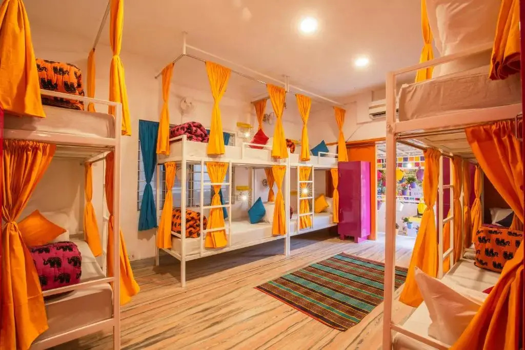 goSTOPS Lite Jaipur