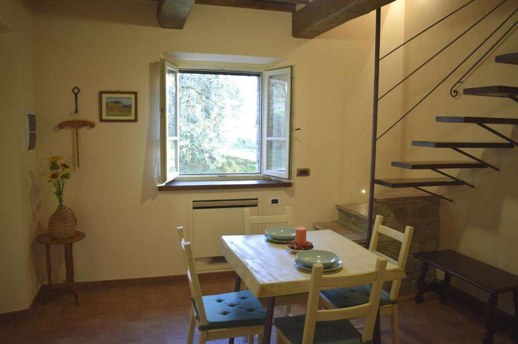 Selva degli Ulivi