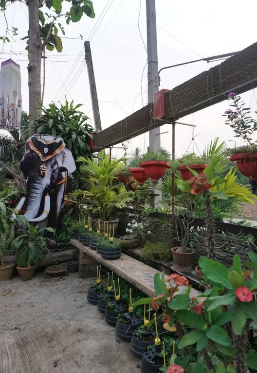 Yongma Homestay
