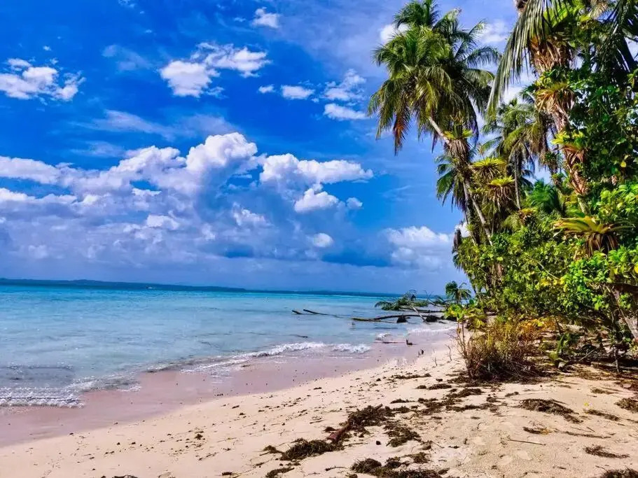 Poetry Garden Bocas Town Colon Island- Deluxe Bungalow Cabin-AC-Enjoy the Night Life