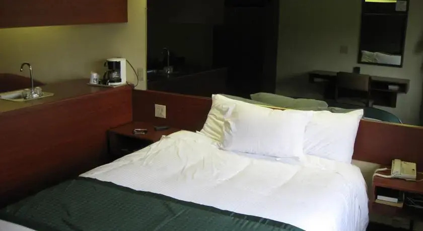 Microtel Inn and Suites Thomasville High Point