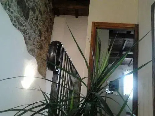 Domus Maria