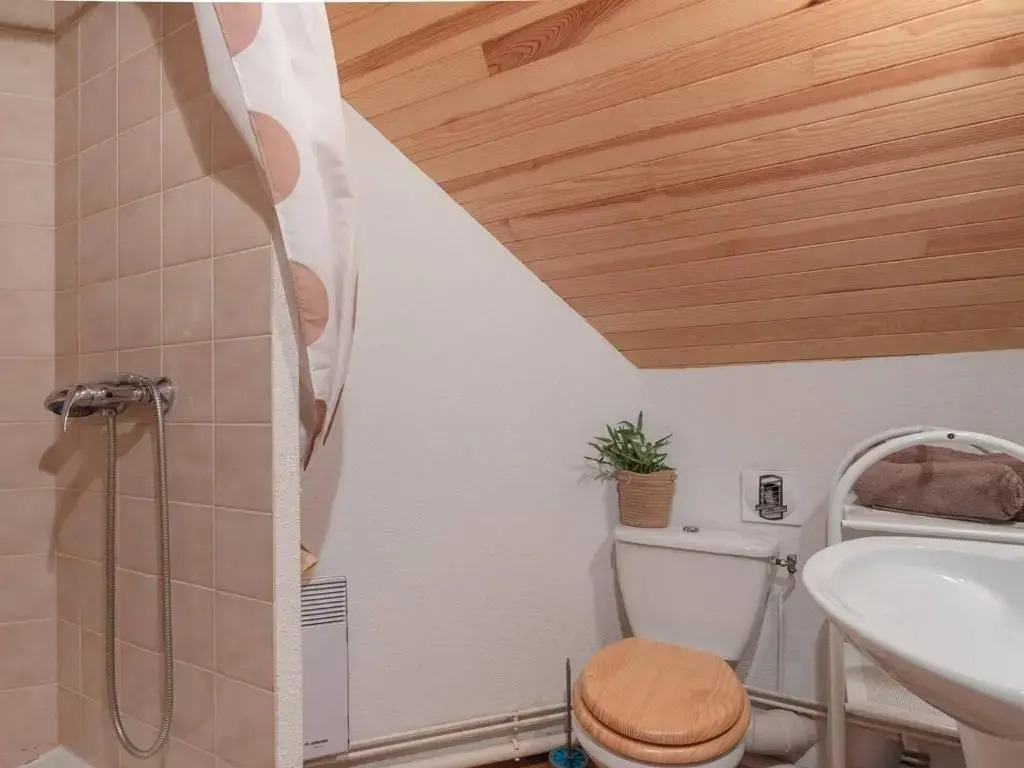 Appartement Saint-Lary-Soulan, 5 pièces, 9 personnes - FR-1-296-287