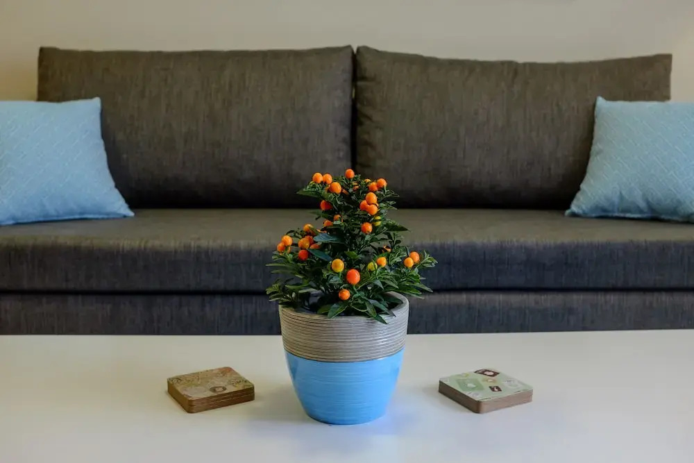 SOHO City Apartments
