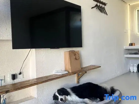 Nature in Nature Pet-friendly Courtyard (Zhangshanying)