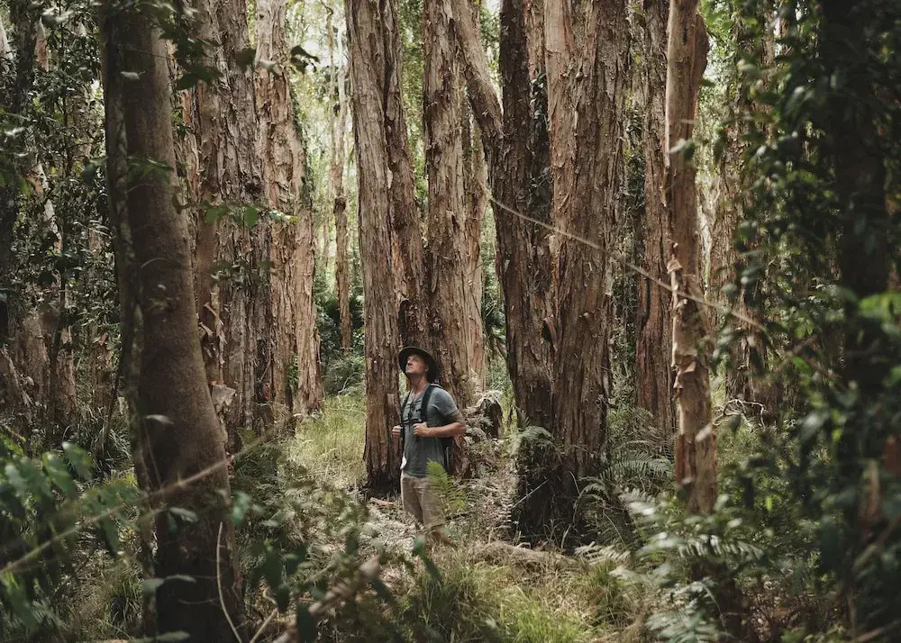 Habitat Noosa Everglades Eco Camp