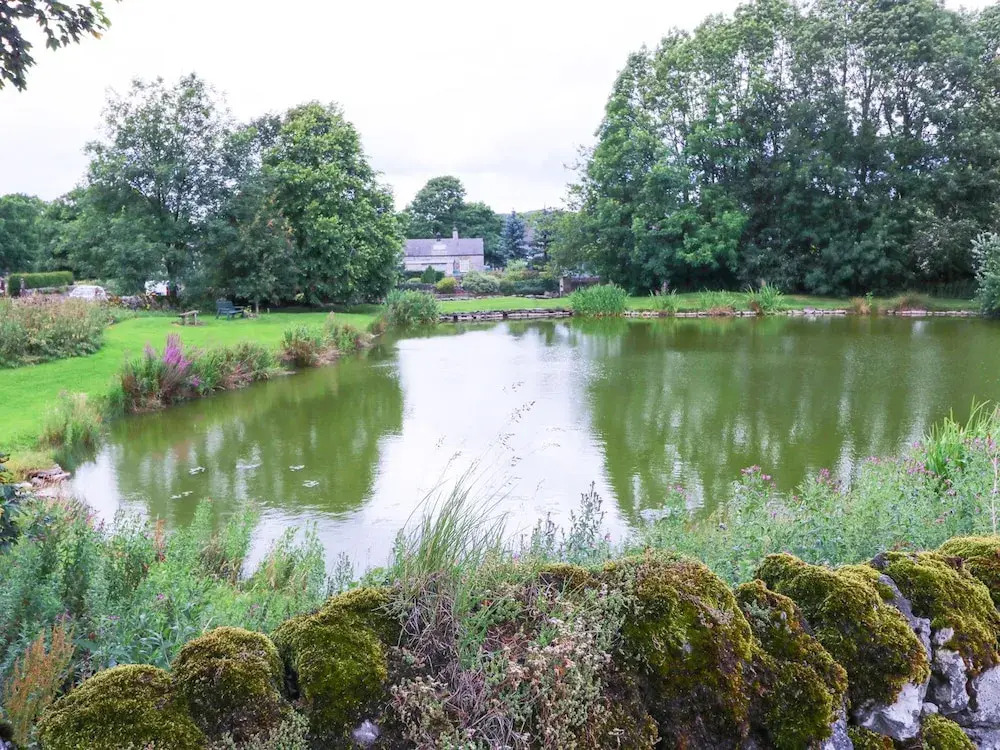 Mere View