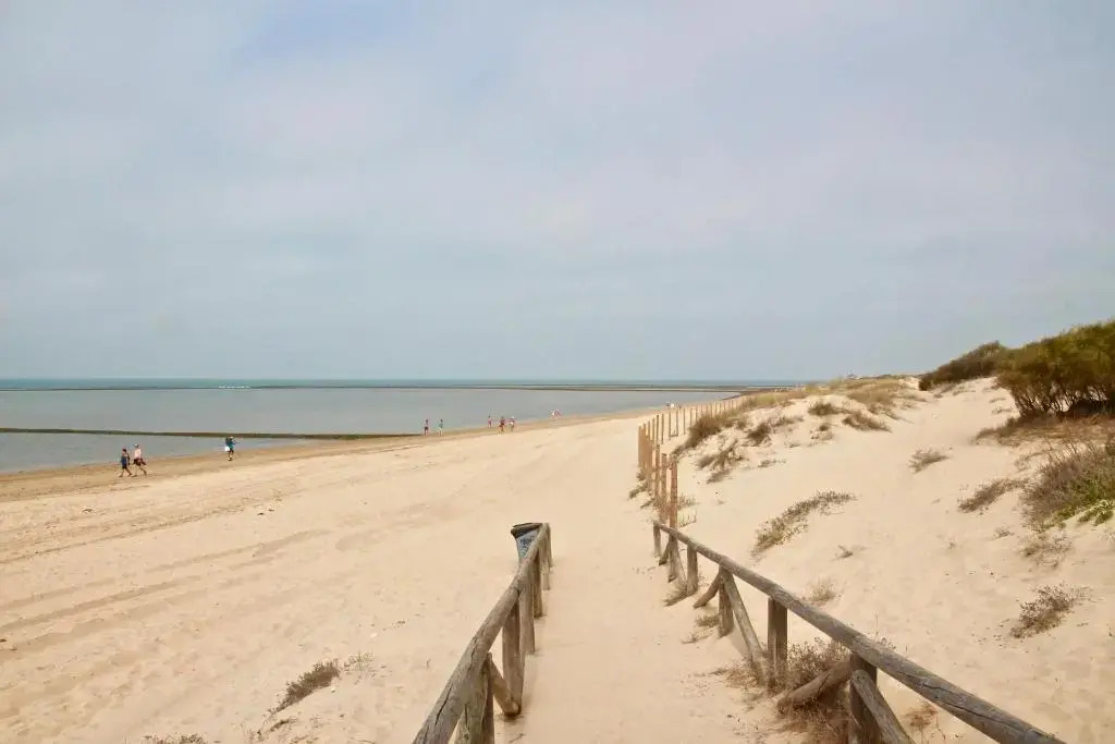 Apartamento Playa y Bosque