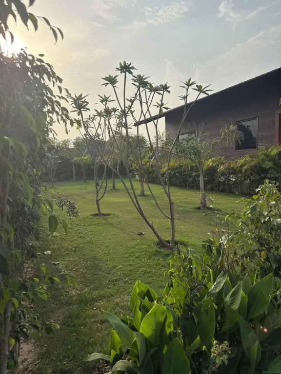 The Greenwood Farm And Lawn -Bijwasan