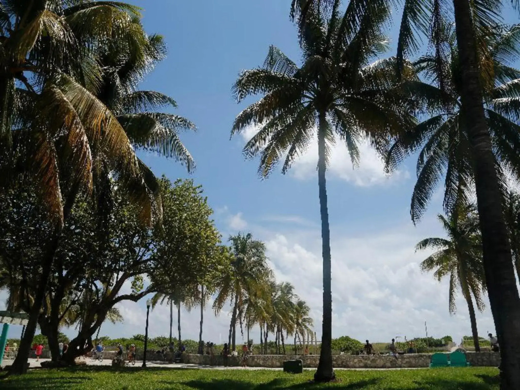 Waldorf Towers South Beach