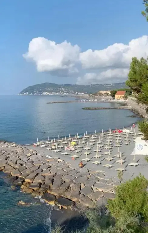 Bellissima Cervo