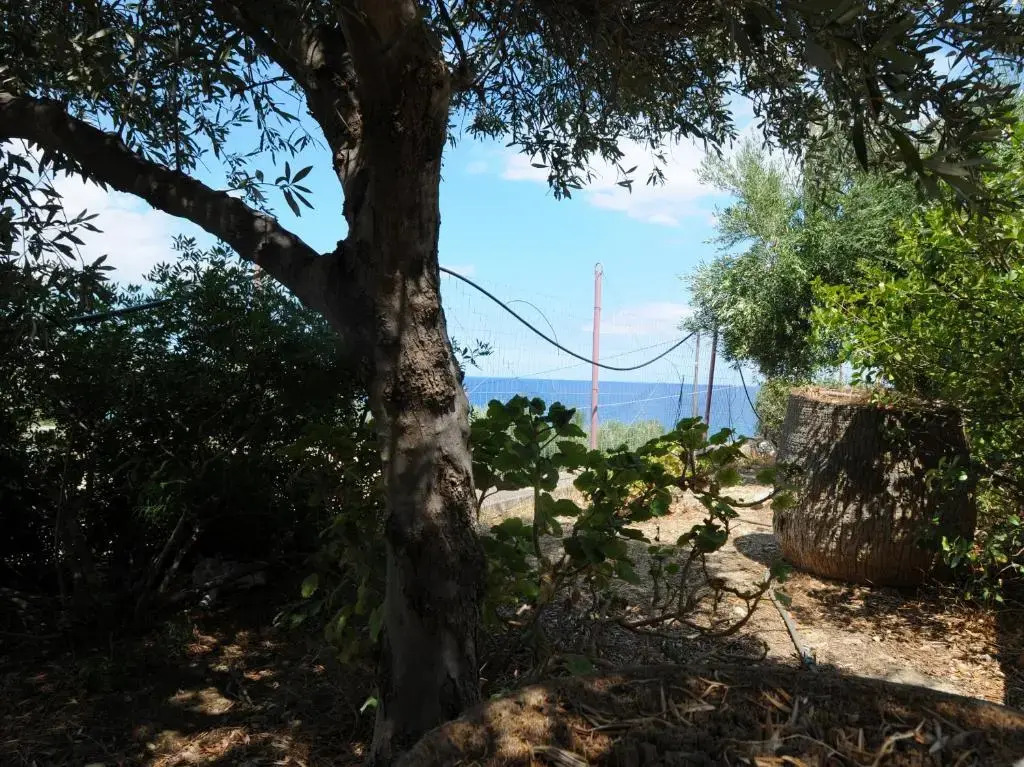 Aris House - Cretan Hospitality