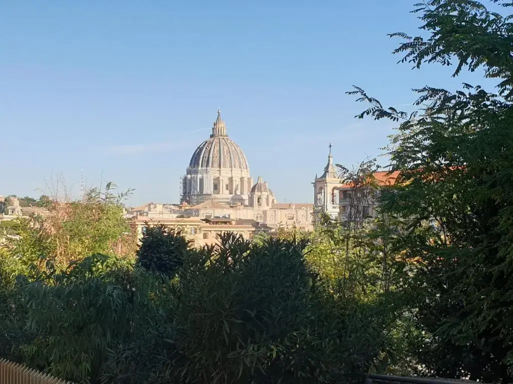 Delmirani's Book Apartments - Vatican View