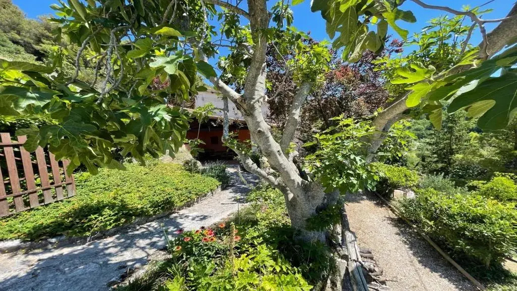 Enjoy Italy - Pool Villa Cerro in Spoleto