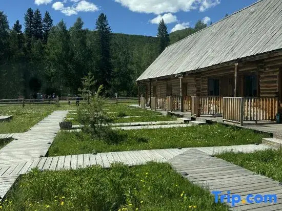Tongmu Yiyu Shanjian B&B
