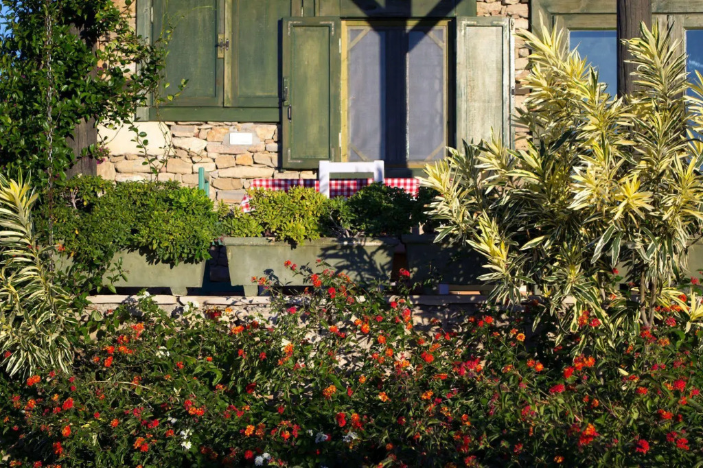 Seki Cottages