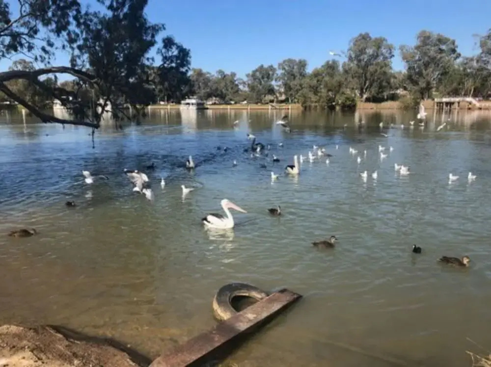 Mildura, Buronga Riverside Holiday & Caravan Park