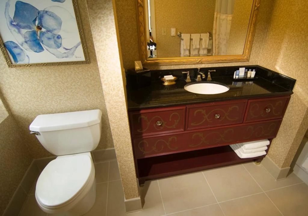 Hotel Roanoke & Conference Center, Curio Collection by Hilton