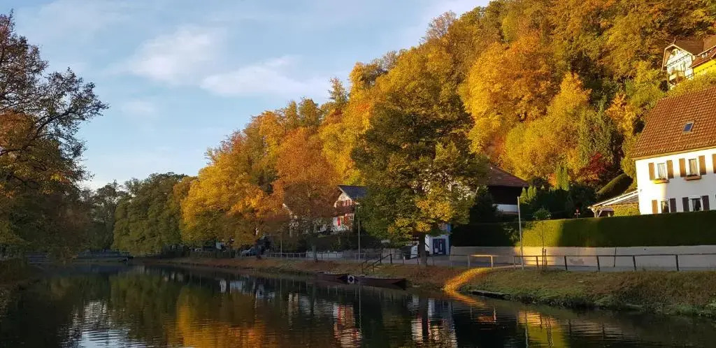 Hotel Schiff Nagold