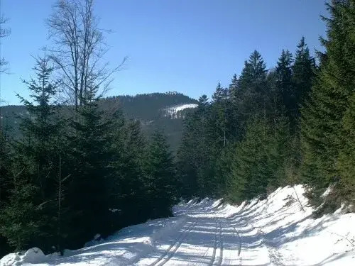 Pension Schamberger