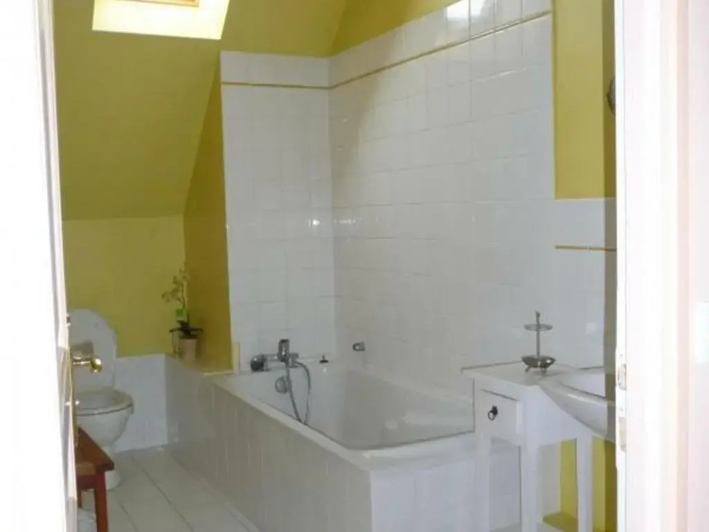 Gîte Tourangeau près de Loches avec Cheminée et Jardin - FR-1-381-40