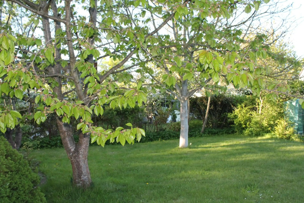 Lutzi´s Ferienwohnung
